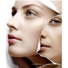 (L-Carnosine) - Prevenir el envejecimiento de la piel y el blanqueamiento de la piel L-Carnosine